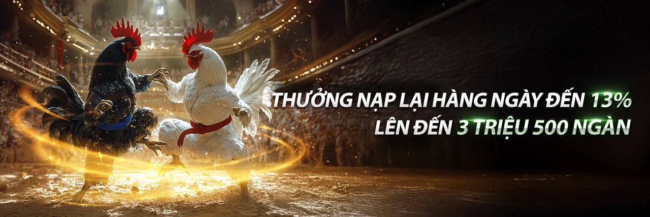 Sòng Bạc Trực Tuyến okking9 với nhiều trò chơi hấp dẫn